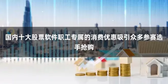 国内十大股票软件职工专属的消费优惠吸引众多参赛选手抢购