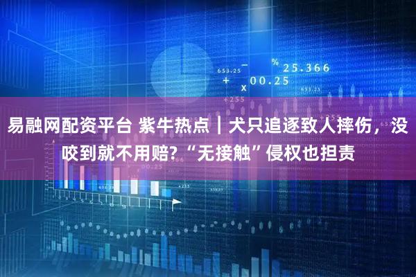 易融网配资平台 紫牛热点︱犬只追逐致人摔伤，没咬到就不用赔? “无接触”侵权也担责
