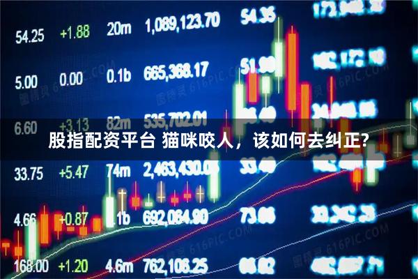 股指配资平台 猫咪咬人，该如何去纠正?