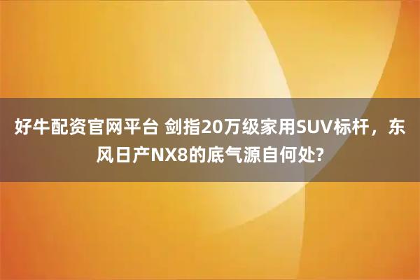 好牛配资官网平台 剑指20万级家用SUV标杆，东风日产NX8的底气源自何处?
