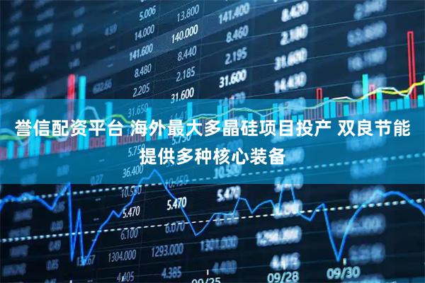 誉信配资平台 海外最大多晶硅项目投产 双良节能提供多种核心装备